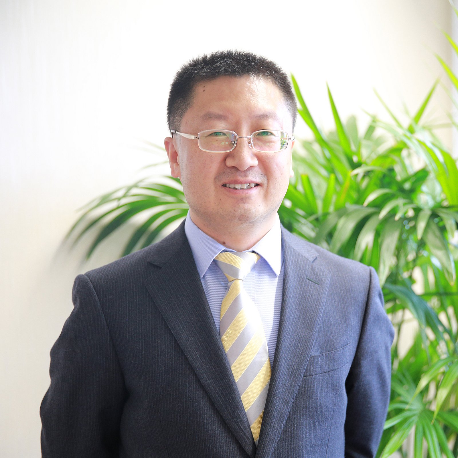 Hong Yang, General Manager Minmetals Germany, Duesseldorf